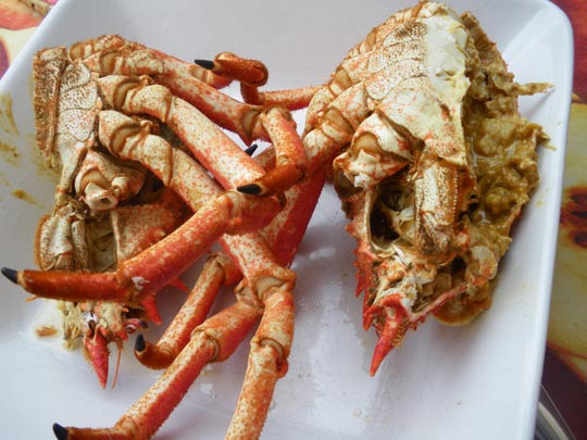  PAU ARENÓS _ tradición y perversión 