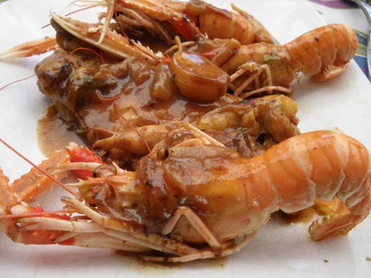  PAU ARENÓS _ tradición y perversión 