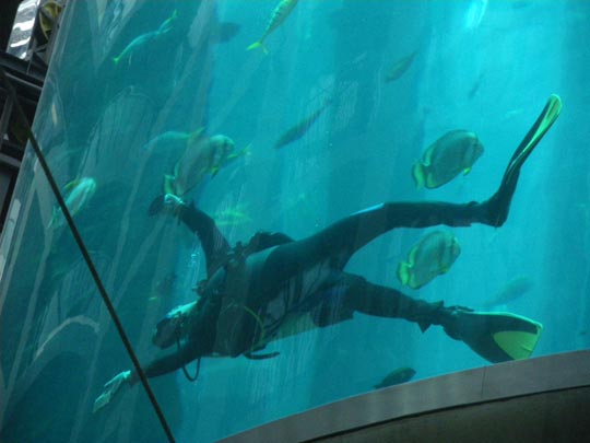  PAU ARENÓS _ un trabajo húmedo 