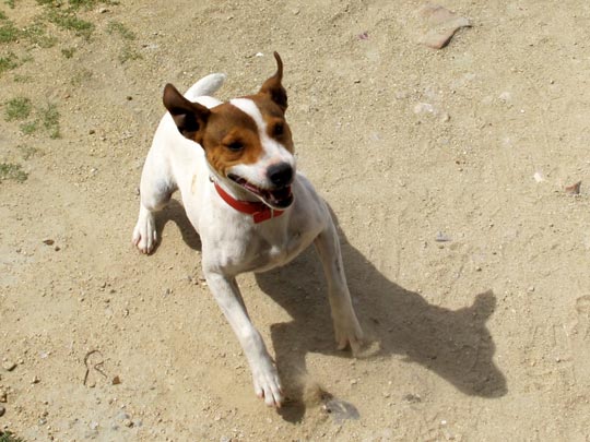  ANA SANCHEZ _ felicidad 