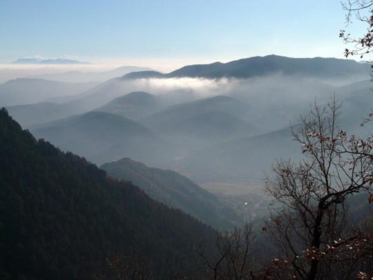  ARACELI SEGARRA _ sutil transparencia 