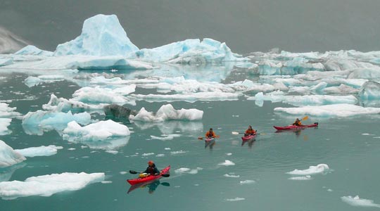  ARACELI SEGARRA _ un paseo entre icebergs 