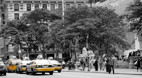  ANA SANCHEZ _ amarillo 