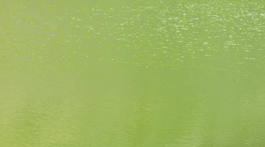  ANA SANCHEZ _ el lago verde, lanzarote 