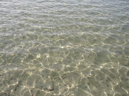  ANA SANCHEZ _ el mar rojo 