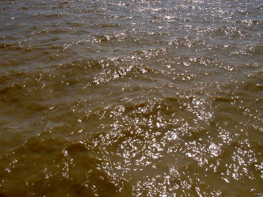  ANA SANCHEZ _ el río de la plata 