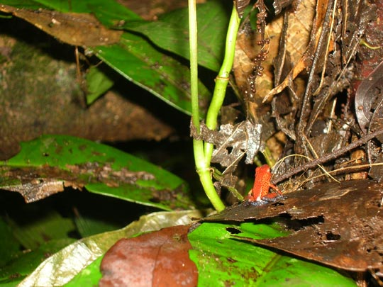  ANA SANCHEZ _ ¿es sexista esta foto? (1) 