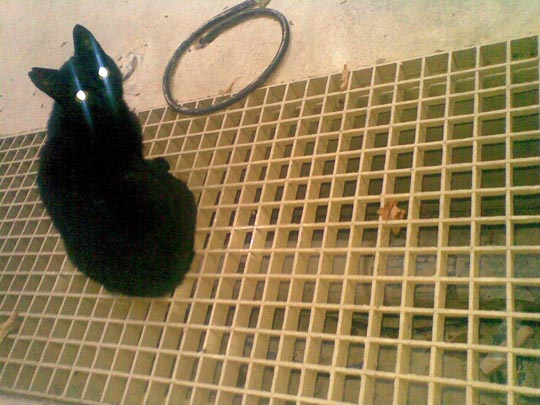  ANA SANCHEZ _ hay miradas que matan 