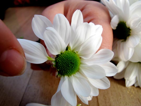  ANA SANCHEZ _ imperecedero anhelo 