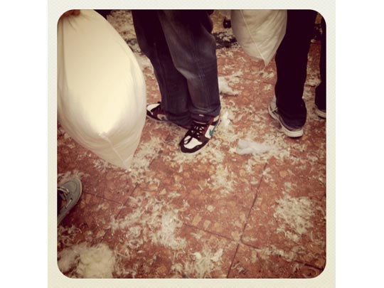  ANA SANCHEZ _ lo consultaron con la almohada 