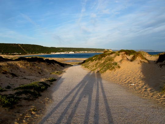  ANA SANCHEZ _ los ángeles de charlie 