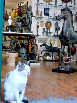  ANA SANCHEZ _ mimetismo (1) 