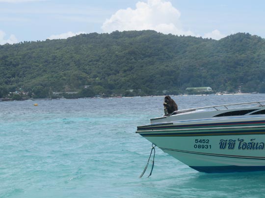  ANA SANCHEZ _ mono de vacaciones 