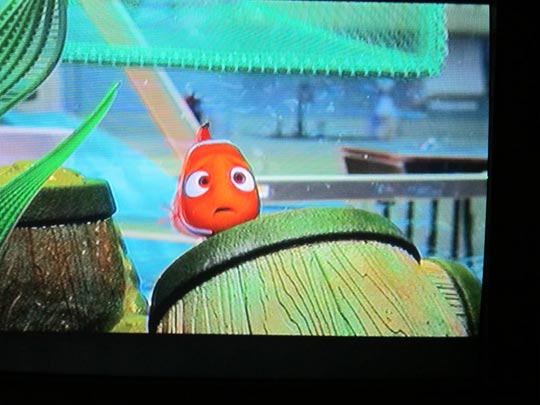  ANA SANCHEZ _ navidades en familia 