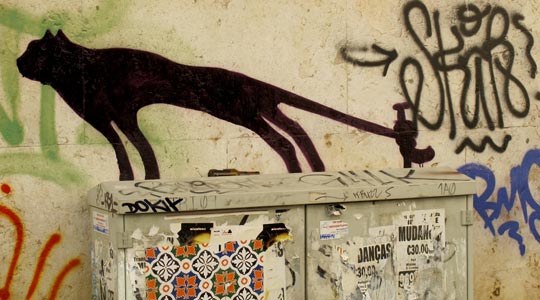  ANA SANCHEZ _ ni en pintura 