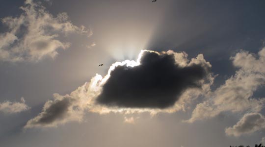  ANA SANCHEZ _ ¡oh, cielos! 