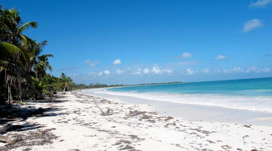  ANA SANCHEZ _ ola de frío, tulum 