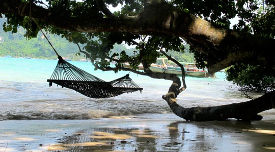  ANA SANCHEZ _ para dormir como un tronco 
