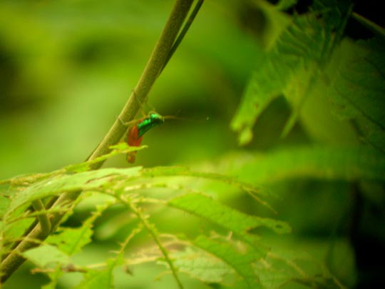  ANA SANCHEZ _ pequeñeces (1) 