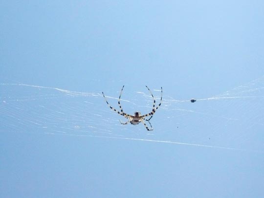  ANA SANCHEZ _ pequeñeces (2) 