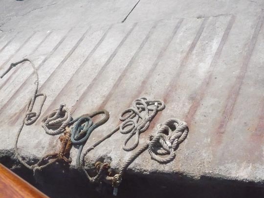  ANA SANCHEZ _ perdiendo la cordura 