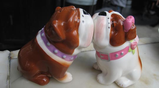  ANA SANCHEZ _ perros con salero 