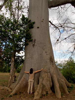  ANA SANCHEZ _ qué pasa, tronco 