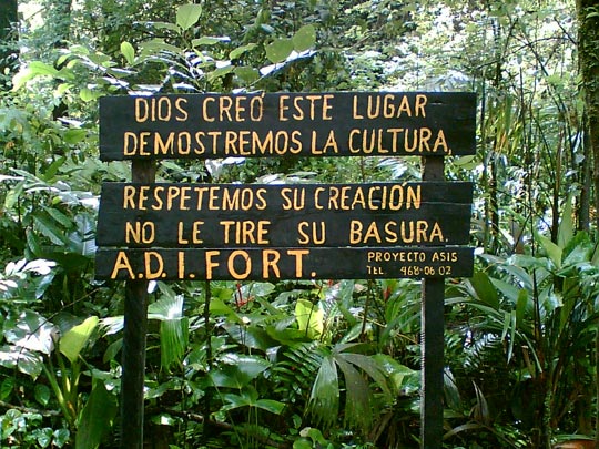  ANA SANCHEZ _ rima ecológica 