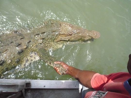  ANA SANCHEZ _ saludo escurridizo 