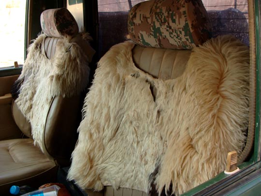  ANA SANCHEZ _ se deja la piel conduciendo 