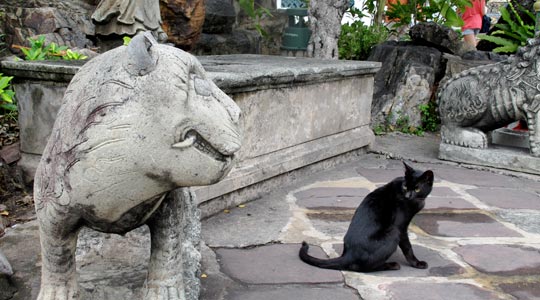  ANA SANCHEZ _ se quedó de piedra 