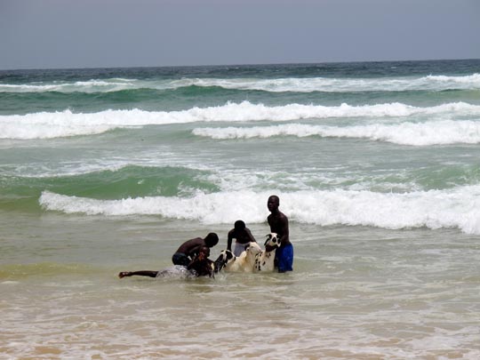  ANA SANCHEZ _ sopa de cabra 