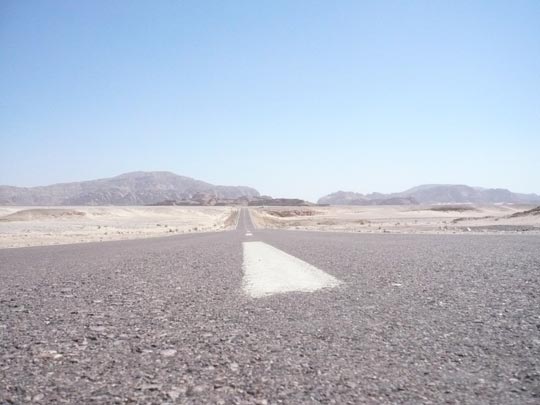  ANA SANCHEZ _ todo recto 