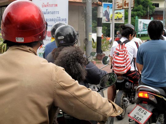  ANA SANCHEZ _ un atasco de perros 