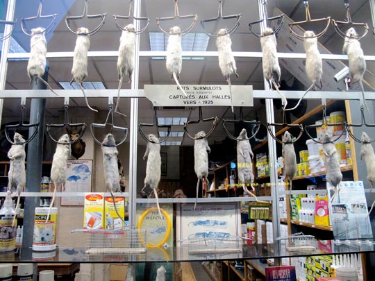  ANA SANCHEZ _ un escaparate de parís 