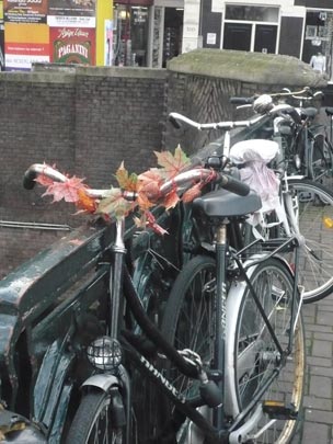  ANA SANCHEZ _ un otoño rodado 