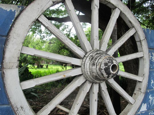  ANA SANCHEZ _ un paisaje redondo 