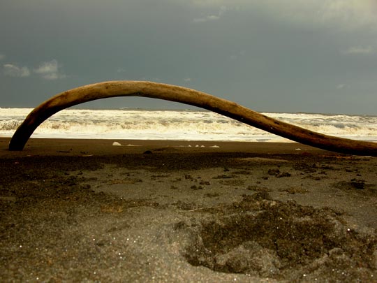  ANA SANCHEZ _ una foto a palo seco 