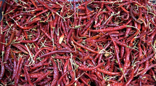  ANA SANCHEZ _ una foto picante 