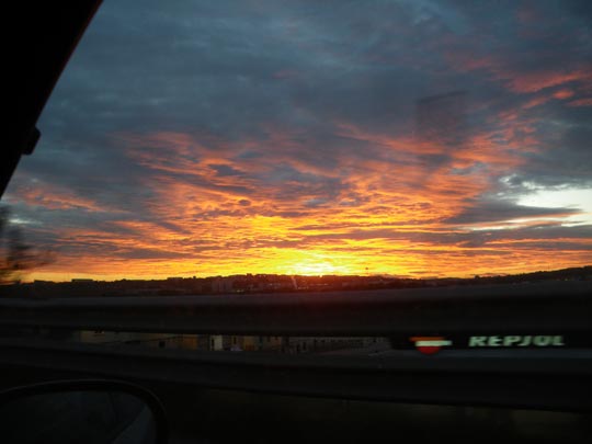  PAU ARENÓS _ otoño 