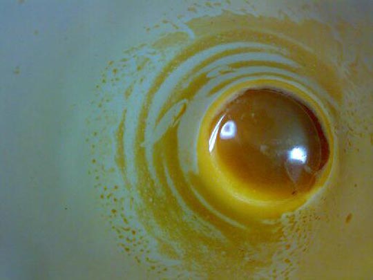  BERTO ROMERO _ café con leche 