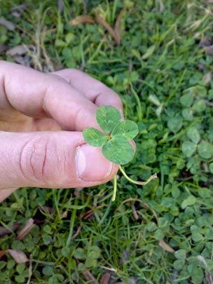  BERTO ROMERO _ cúrrate tu propia suerte 