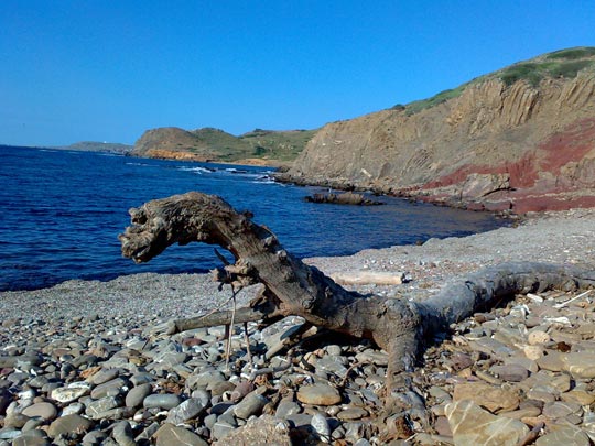  BERTO ROMERO _ dragón 