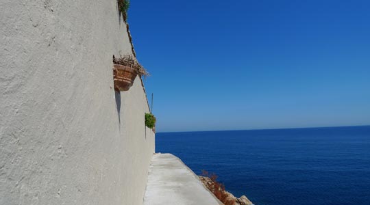  BERTO ROMERO _ maceta y mar 