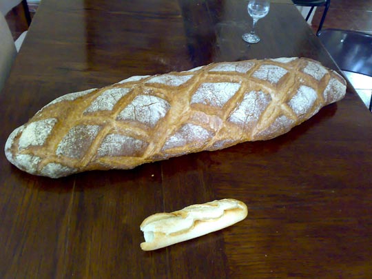  BERTO ROMERO _ macropán, micropán 