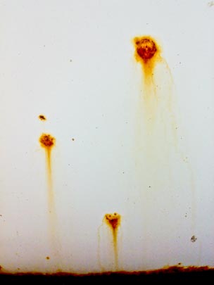  BERTO ROMERO _ meteoritos de óxido 