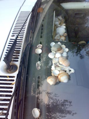  BERTO ROMERO _ salpicadero marino (salpicón) 