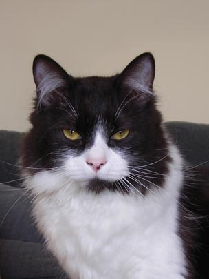  BERTO ROMERO _ seductor 