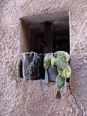  BERTO ROMERO _ sequía 