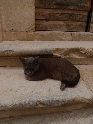  BERTO ROMERO _ siesta 